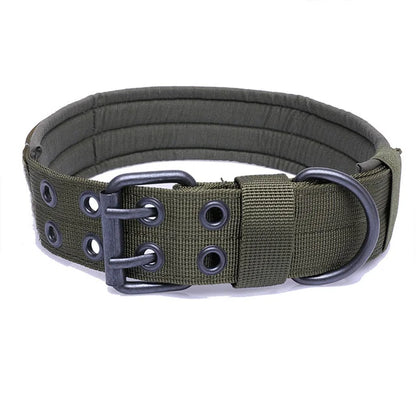 Doghestyle™ - Classic Collar